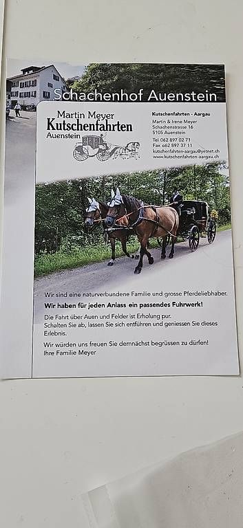 Carrozze: Kutschenfahrt 1/2 Tag – Usato da Aarau Rohr venduto da Adoxa