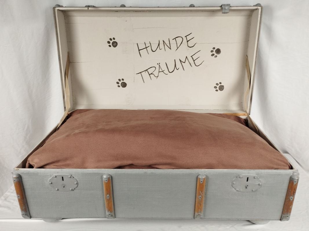 Cucce & Letti: Hundebett in Kofferoptik – Usato da Schübelbach venduto da Restwert_Schubelbach 3