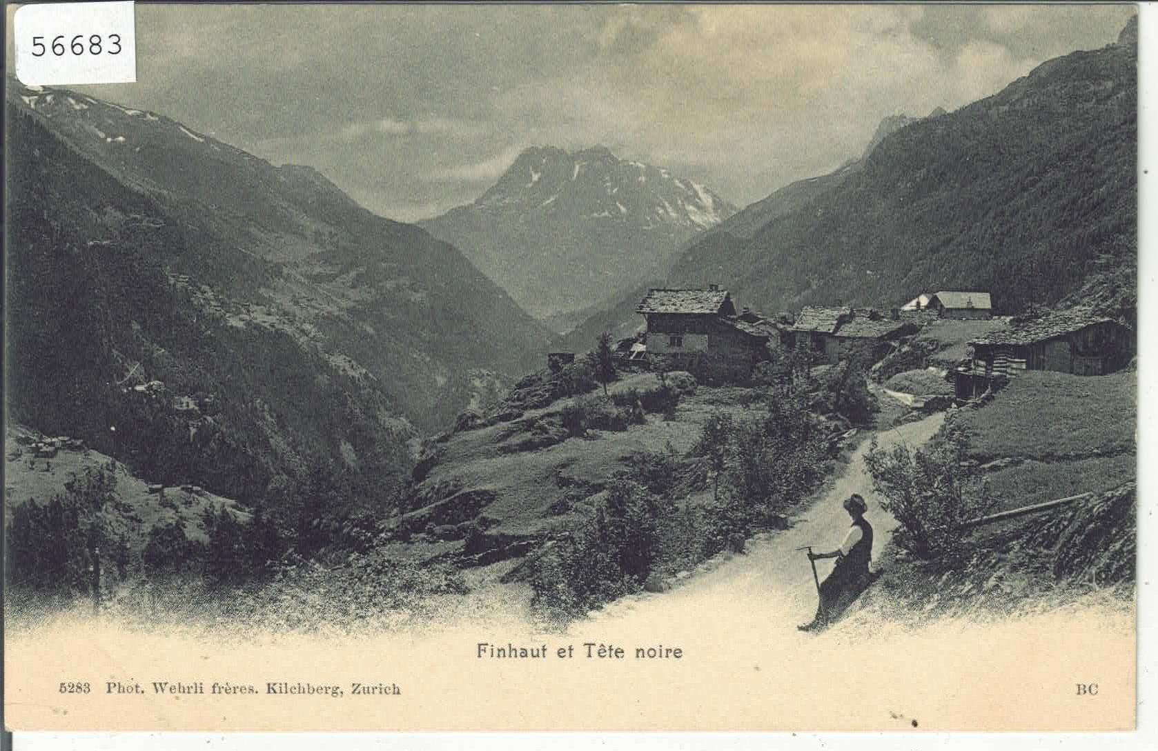 Cartoline postali: Finhaut et Tete noire - animee – Usato da Ettingen venduto da Kartenplanet