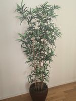 IKEA Künstliche Topfpflanze, Bambus