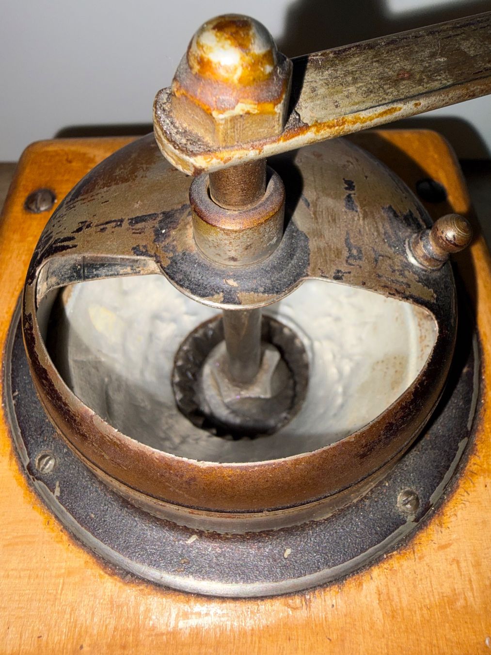 Appareils de cuisine: Kaffeemühle – D'occasion à Rotkreuz par Once0 5
