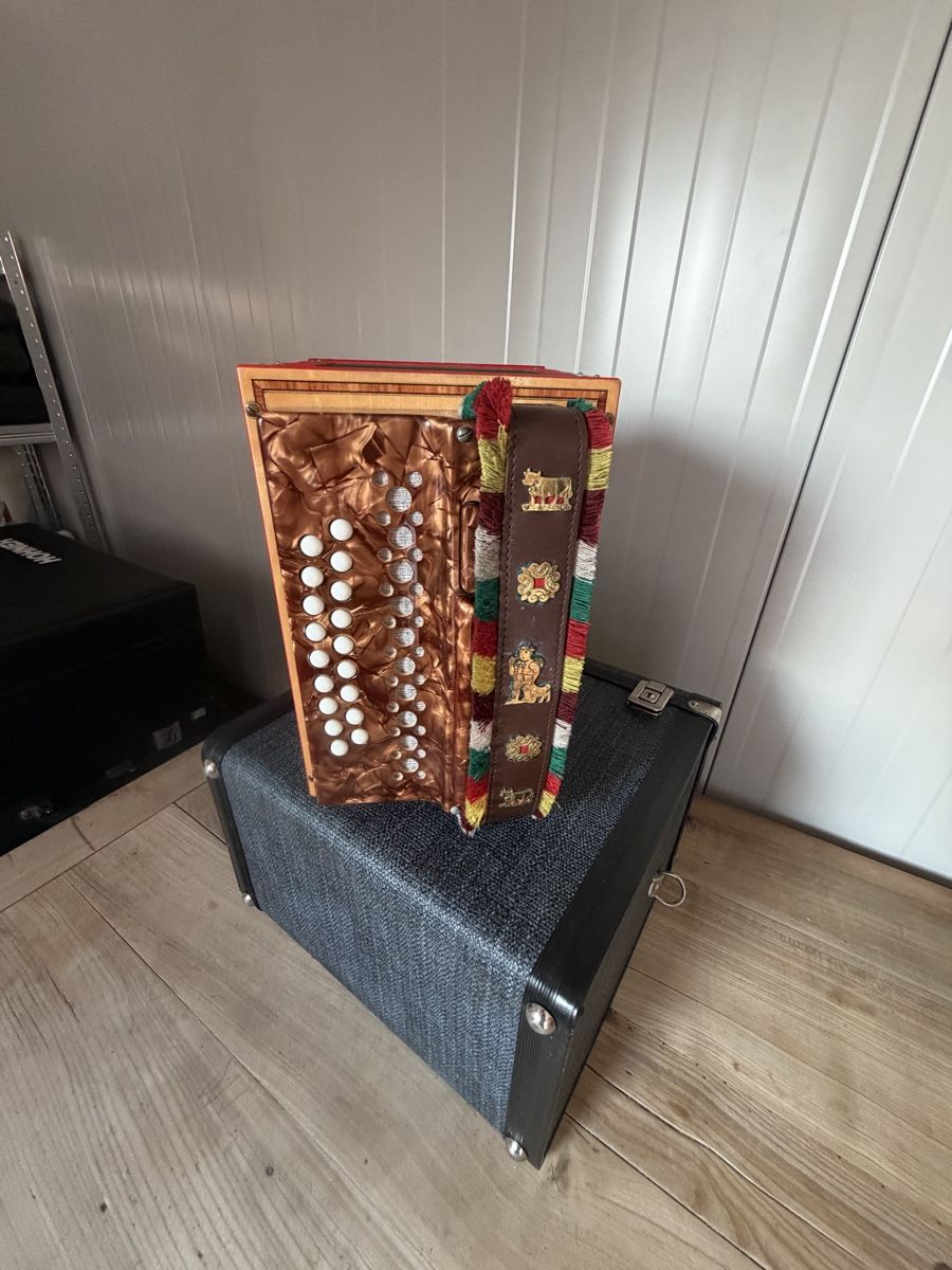 Eichhorn Instruments de musique: Schwizerogeli Eichhorn  – D'occasion à Muhen par MiGeiss64 3