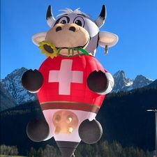 Profile image of Busybee