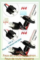 2x | Ampoules H4-2 Hi/Lo 12V 55W 6000K pour kit xénon 55W