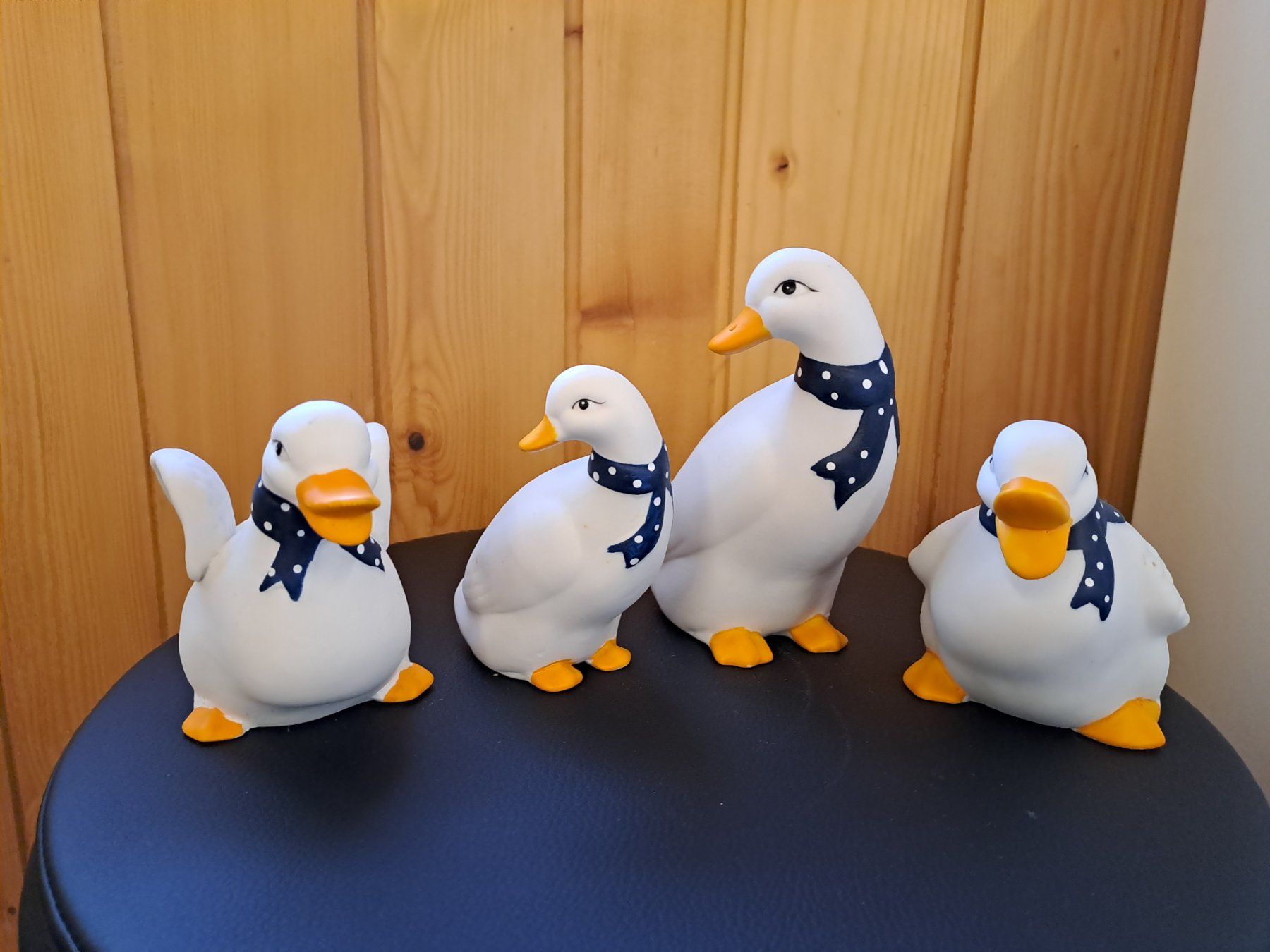 Tutte le decorazioni: Enten Deko – Usato da Werthenstein venduto da Sublix 1