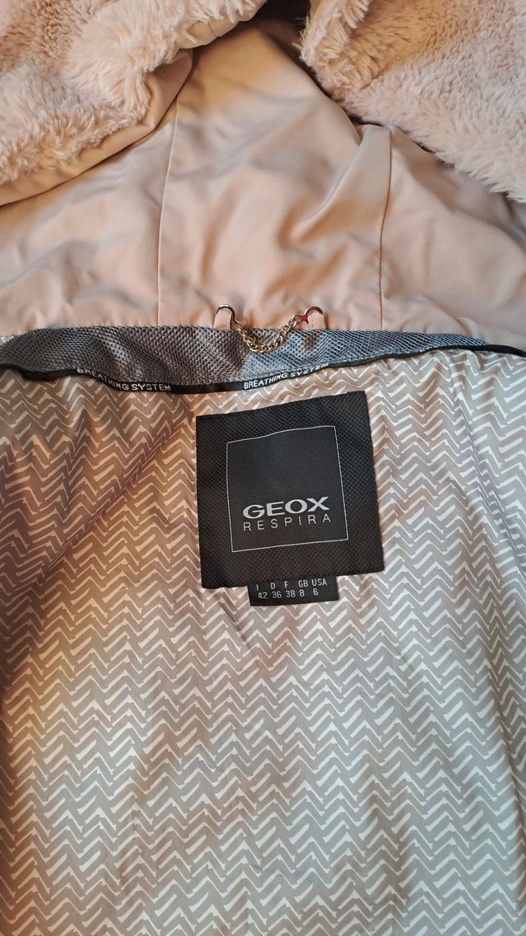 Geox Gilet & Giacche senza maniche: jacket sans  manches  GEOX 38 (IT 42) – Usato da Bernex venduto da Dariafr 5