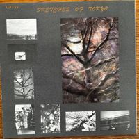 John Hicks & David Murray – Sketches Of Tokyo (CD DIW) 1985