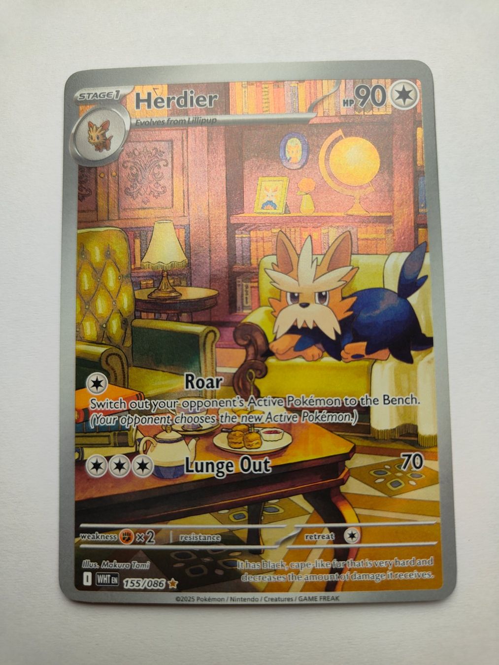 Pokémon Carte collezionabili: Pokemon Herdier Illustration Full Art Terribark – Usato da Thalwil venduto da FigurenFreunde