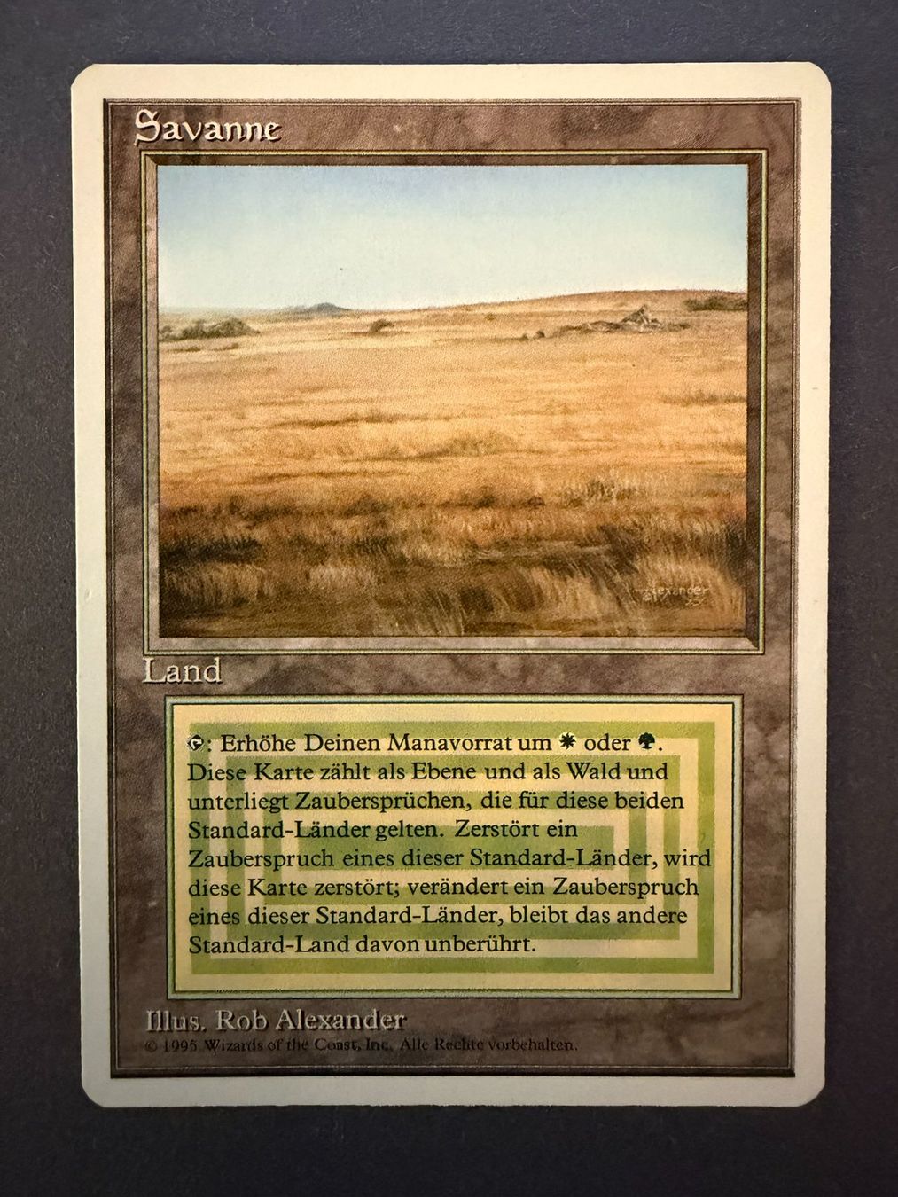 Magic The Gathering Carte collezionabili: Savanne // Savannah // Doppelland // Dual Land // Magic – Usato da Binz venduto da Tempelritter