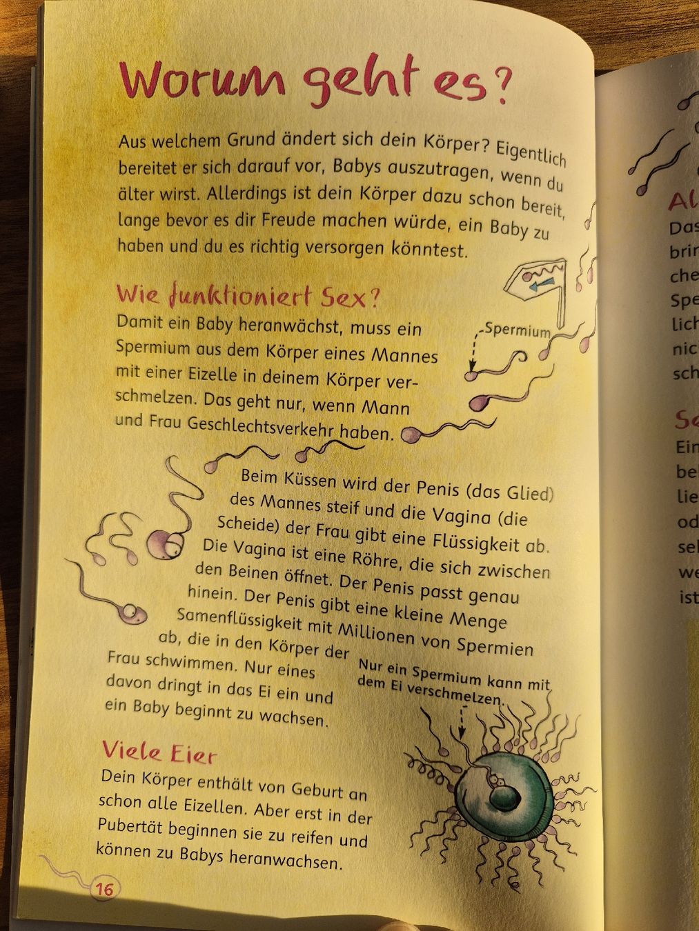 Bücher: Das Mädchenfragebuch - Was Mädchen wissen wollen – Gebraucht aus Domat/Ems von ver_7q9b 4