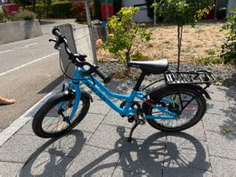 Naloo Chameleon 16“