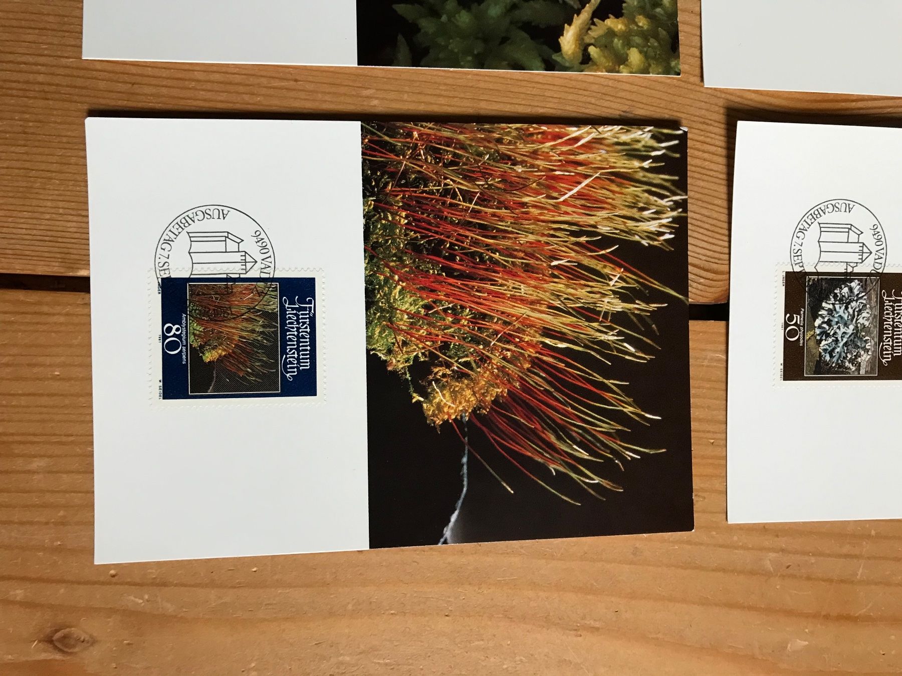 Tutti i francobolli: briefmarken FL 4 postkarten 7.9.1981 – Usato da liestal venduto da makai05 4