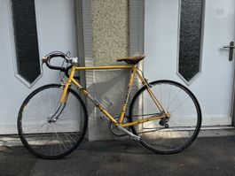 Gazelle Vintage Rennrad