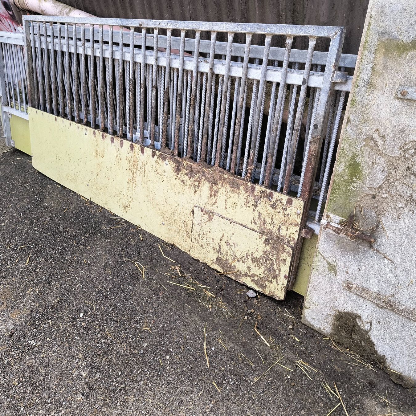 Rifugi: schweinestall wände occasion – Usato da Lützelflüh-Goldb venduto da Corinneruch