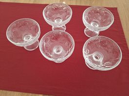 Coupe Gläser - 5 Stück