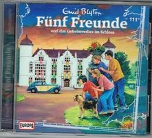 Fünf Freunde und das Geheimverlies im Schloss (111)