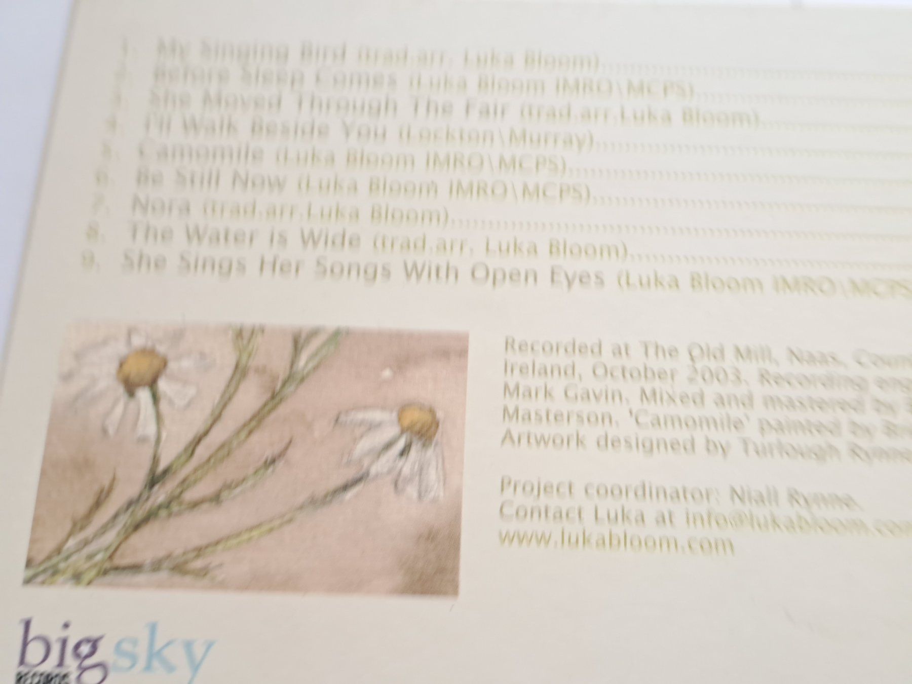 CD: Cd Luka Bloom - Before Sleep comes – Usato da Pully venduto da bro_n52j 3