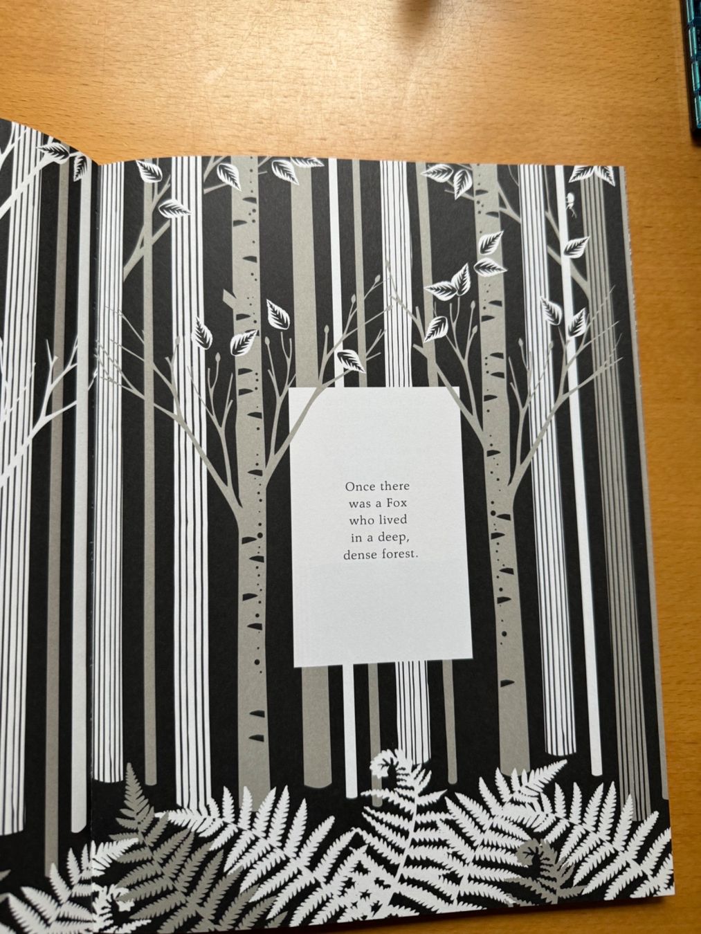 Libri: Buch, The Fox and the Star, Englisch – Usato da Zürich venduto da AninANILOKIN 1