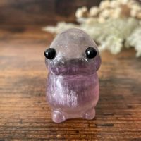 ✲ Regenbogen Fluorit Schnäbi Skulptur ✲ 48g / 40mm Fluorite