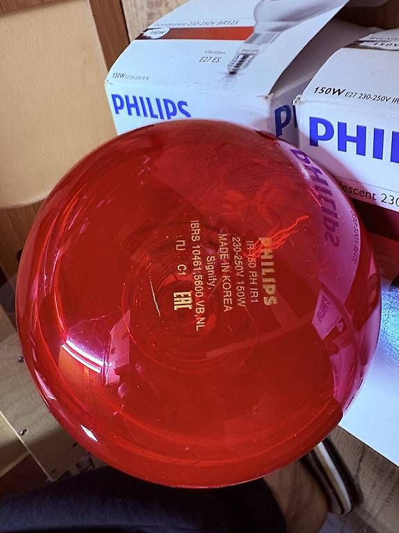 Philips Lampade: Ampoule infra rouge Philips BR125 150W E27 – Usato da Biel/Bienne venduto da pat_kh7v 1
