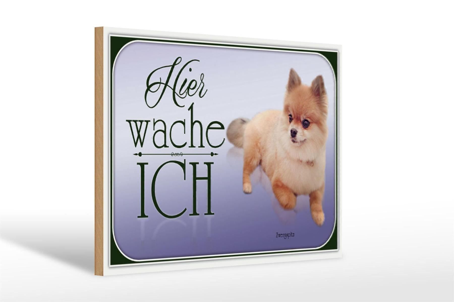 Insegne: Blechschild-ZWERGSPITZ-HIER WACHE ICH – Nuovo e nell'imballaggio originale da Rupperswil venduto da big-one-sale 1