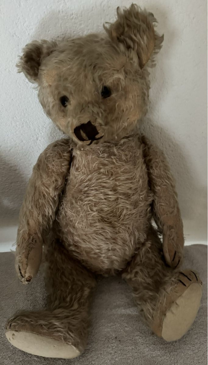 Steiff Giocattoli: Steiff Teddy – Usato da Binningen venduto da kal_5nsj