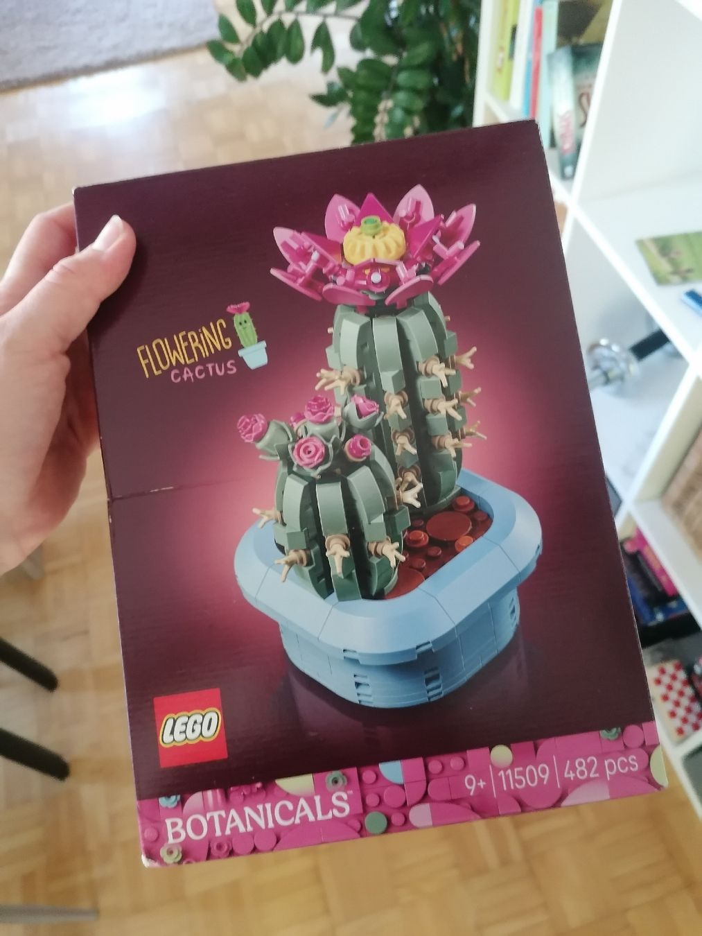 Lego Spielzeuge: Lego Kaktus – Neu und originalverpackt aus Luzern von chr_ny72