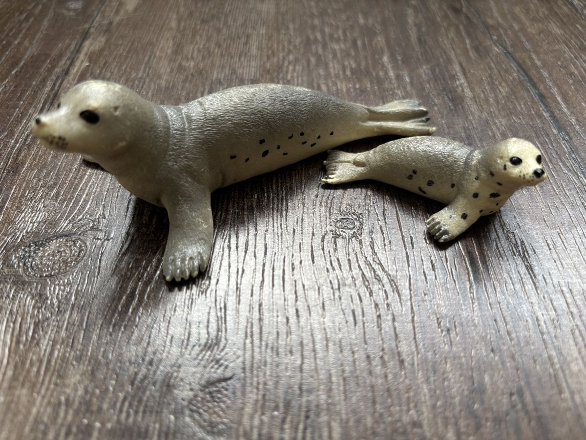 Schleich Giocattoli: Robben Schleich 2 Stk – Usato da Neuendorf venduto da flury4623 1