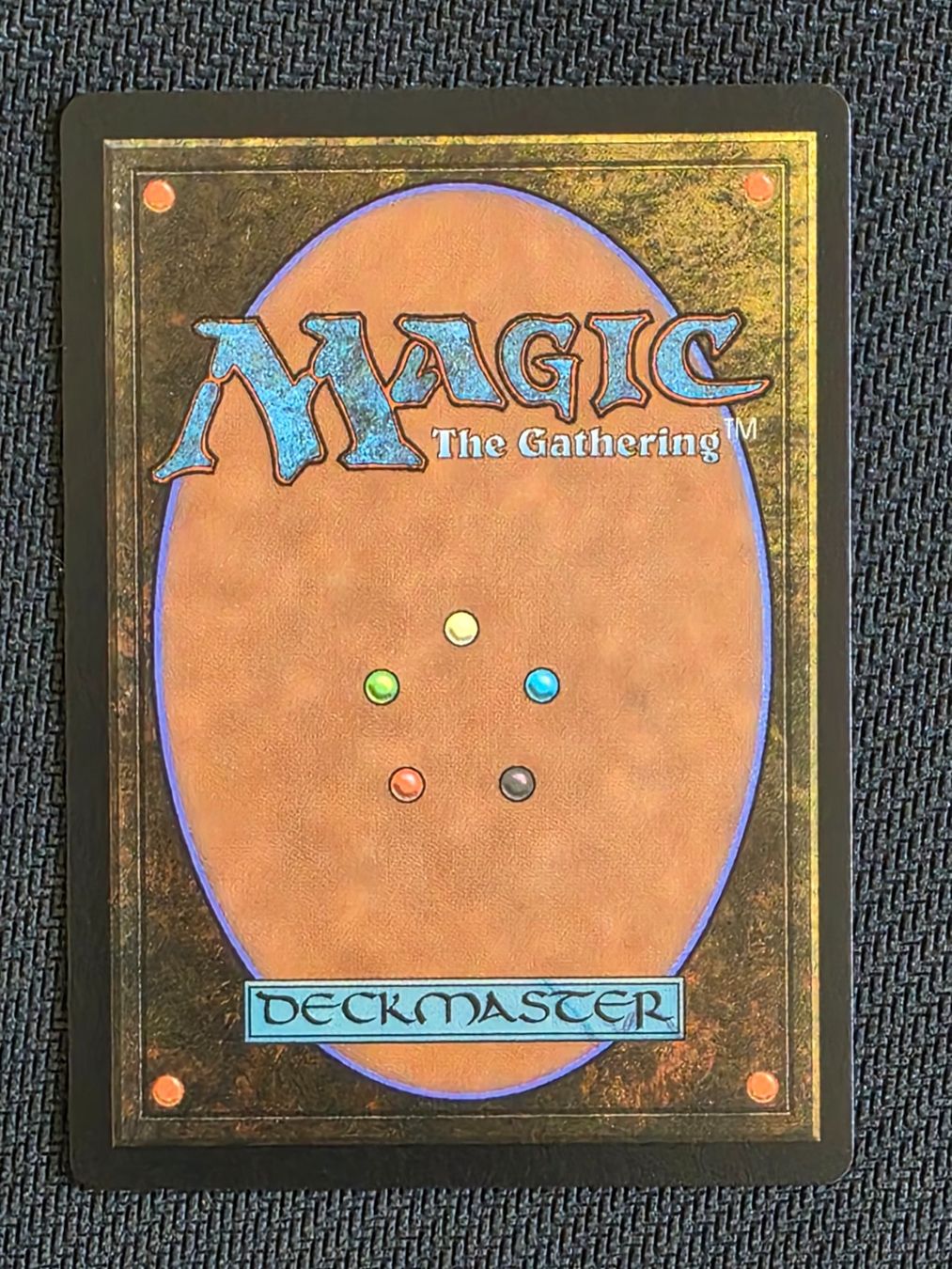 Magic The Gathering Carte collezionabili: Notion Thief -  MTG – Usato da Zürich venduto da Semagets 1