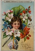 Litho, Liebig, Werbung, Flora, Blumen,  Jugendstil