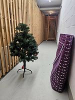 Weihnachtsbaum