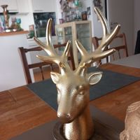 Goldig: Hirsch Kopf und Wand Kopf m. Plateau Holz