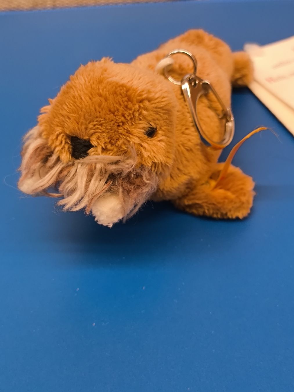 Schlüsselanhänger & - bänder: Steiff Schlüsselanhänger Seelöwe 10cm – Neu (gemäss Beschreibung) aus Scuol von Pisoc2019 3