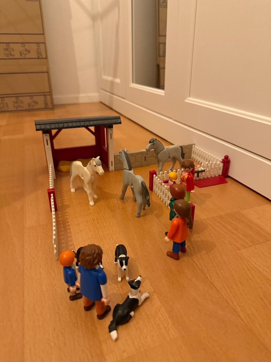 Playmobil Giocattoli: Playmobil – Usato da Kreuzlingen venduto da Sole2012 2