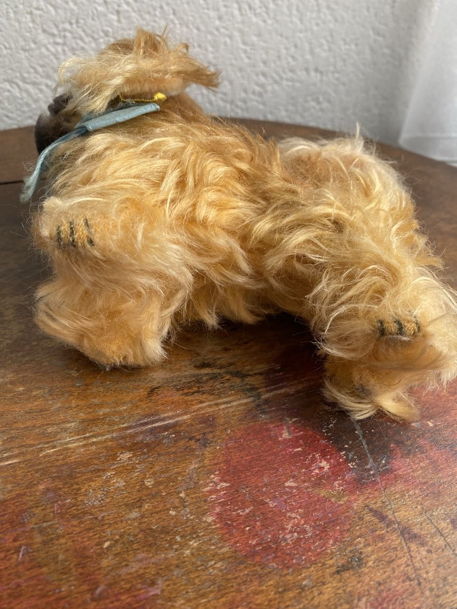 Steiff Giocattoli: Vintage Steiff, Hund, Stofftier – Usato da Zuchwil venduto da Niranada 5