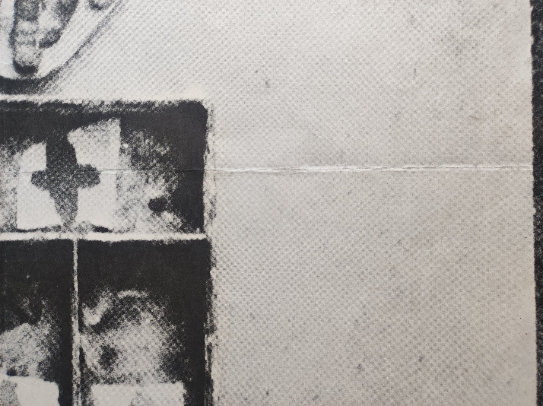 Foto & Immagini: JOSEPH BEUYS - ORIGINAL-PLAKAT - SIGNIERT – Usato da Goldach venduto da Gaip 4