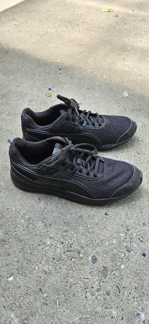 Puma Chaussures hommes: Schuhe Sneaker Puma Gr. 41 – Neuf (Voir description) à Mittelhäusern par NGreg 1