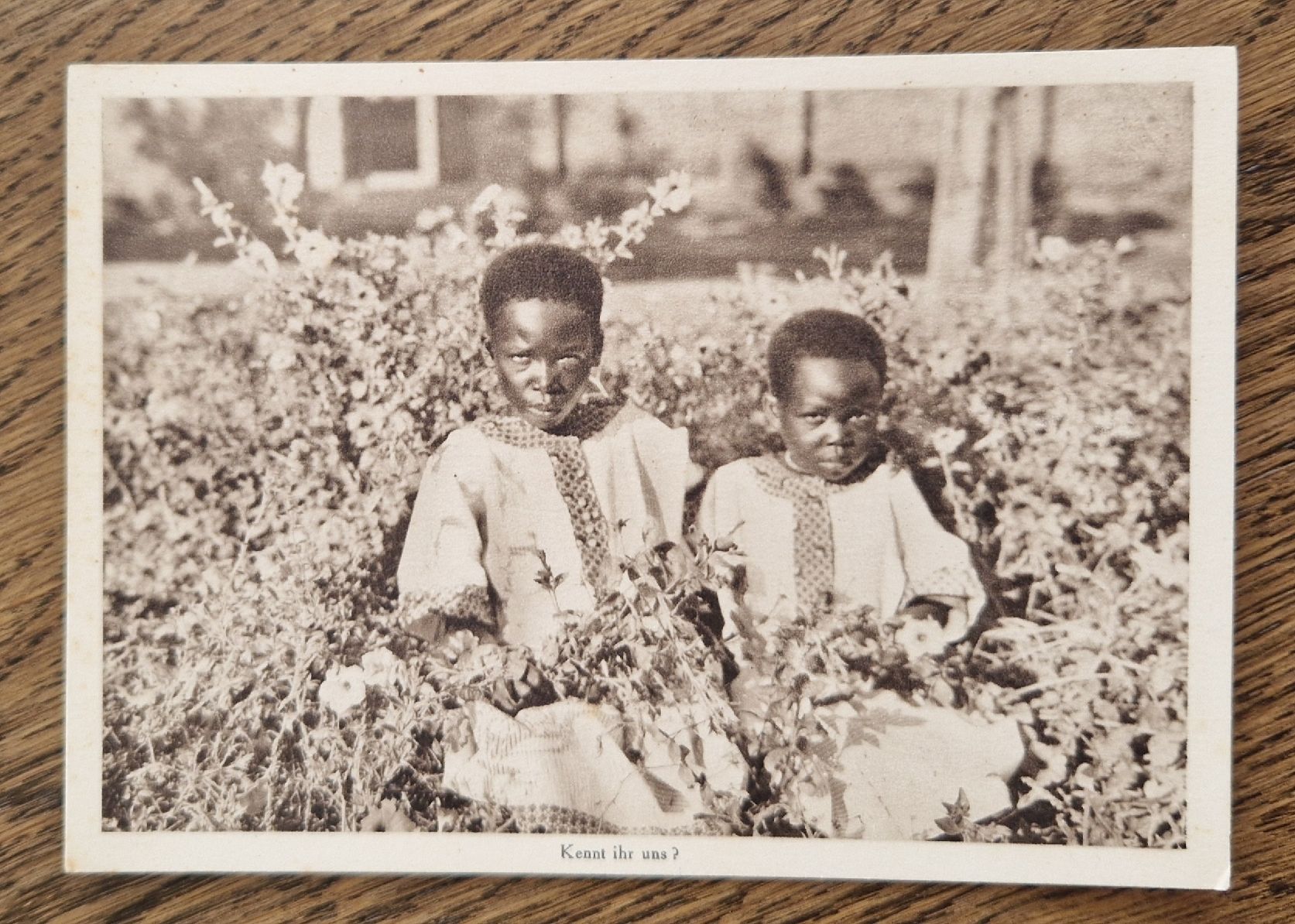 Cartoline postali: Mission  Schweizer Kapuziner in Afrika – Usato da Ebikon venduto da Donar50