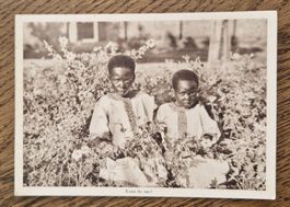 Mission  Schweizer Kapuziner in Afrika