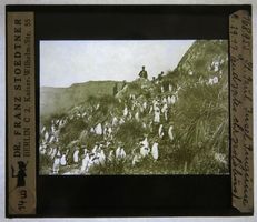 Glasdia Sankt-Paul-Insel südlicher Indischer Ozean, Pinguine