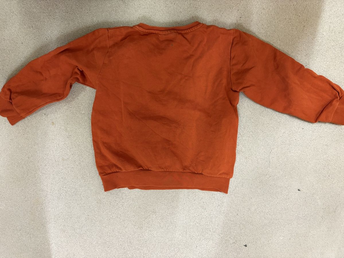 Name It Pullover & Sweatshirts: Sweat Monstre – Gebraucht aus Zürich von chemostat 2