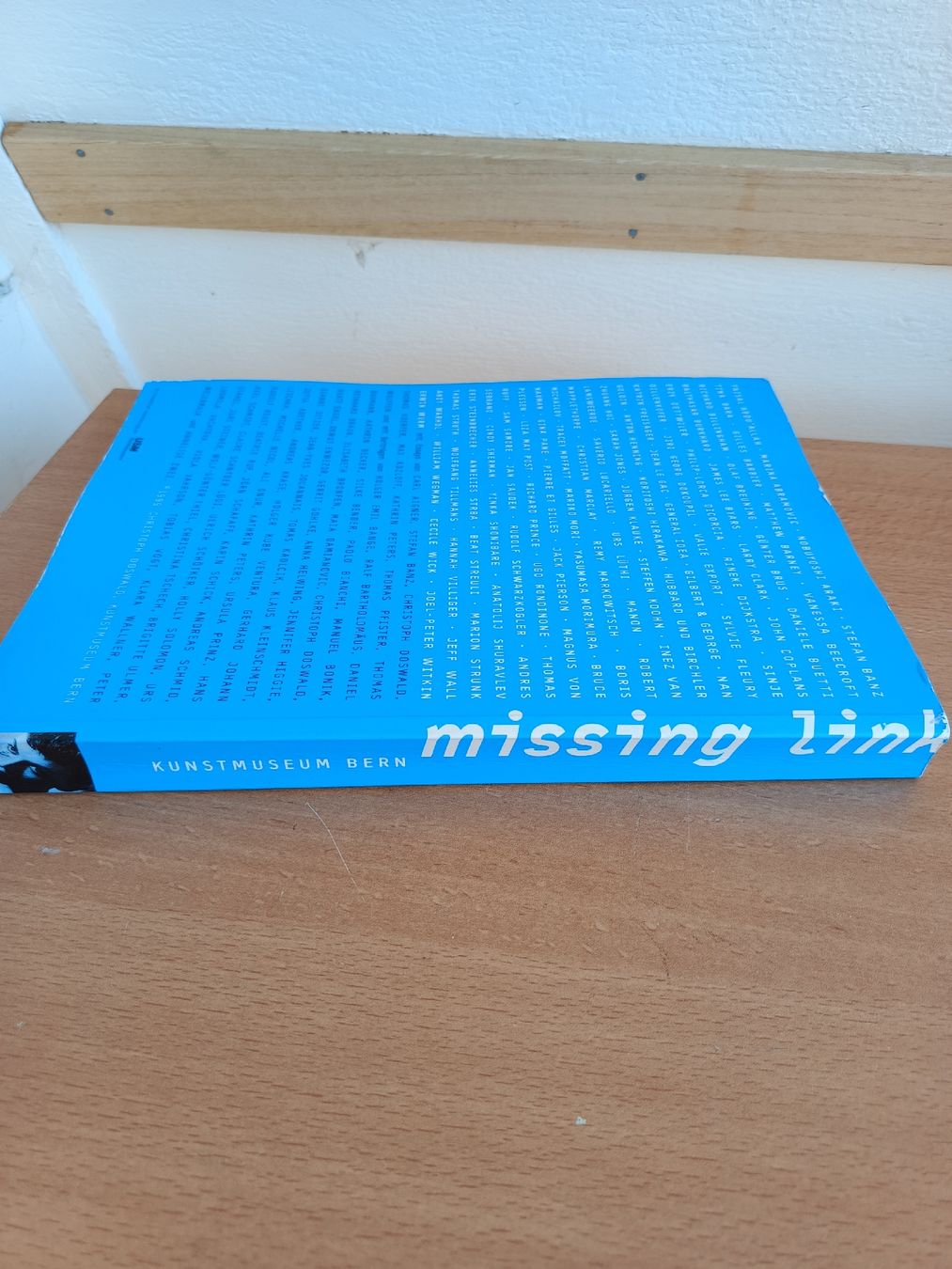 Livres: The Missing Link Fotoband Kunstmuseum Bern – D'occasion à Steffisburg par zulg03 9