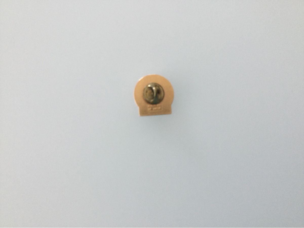 Broschen & Nadeln: Pin EVS Thun  – Gebraucht aus Thun von ciaociao01 1