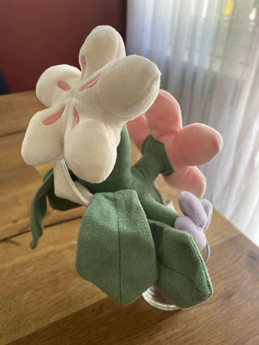 Piante & sementi: Blumenstrauss Plusch – Nuovo (secondo la descrizione) da Beride d. Bedigli. venduto da Connina 2