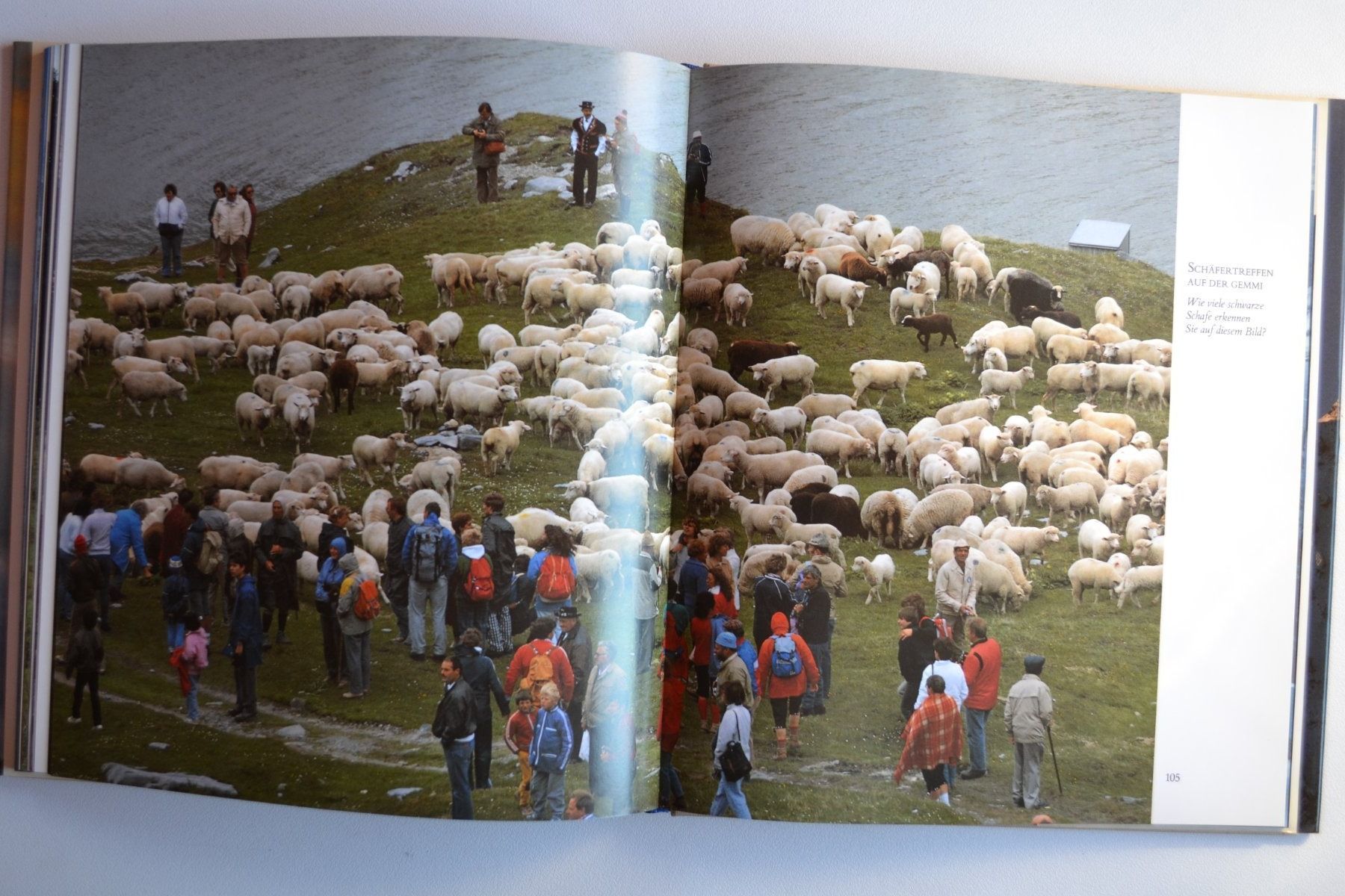 Libri: Unsere Alpen – Usato da Beinwil am See venduto da kajak55 5