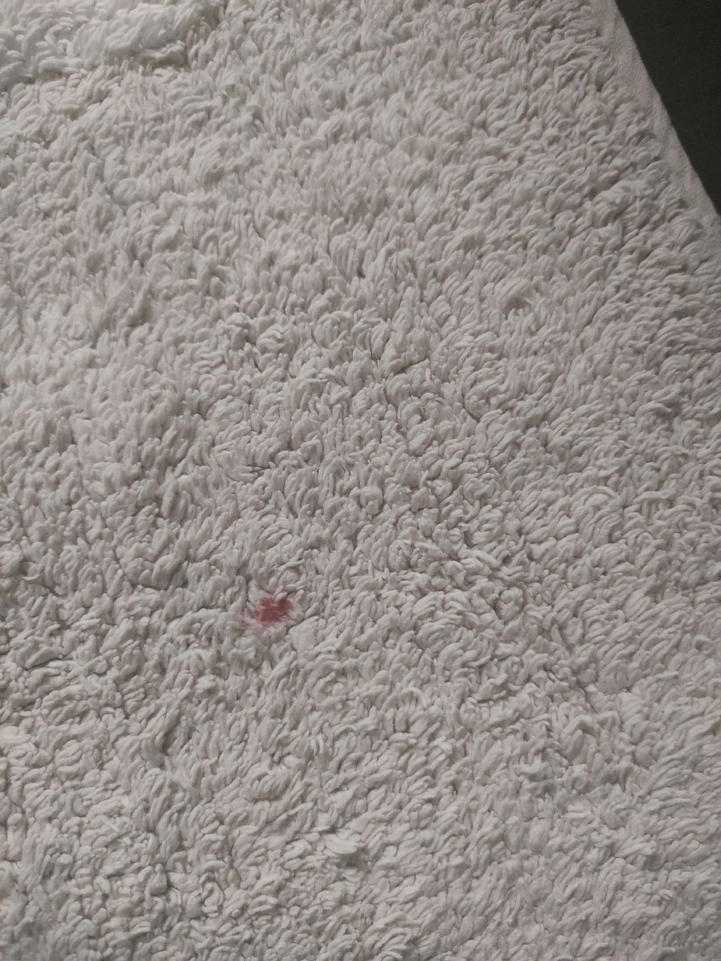 Tappeti: Kinder Zimmer Teppich Hellgrau  – Usato da Therwil venduto da OliviaH01 1