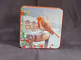 Blechbüchse, Rotbrüstchen im Winter