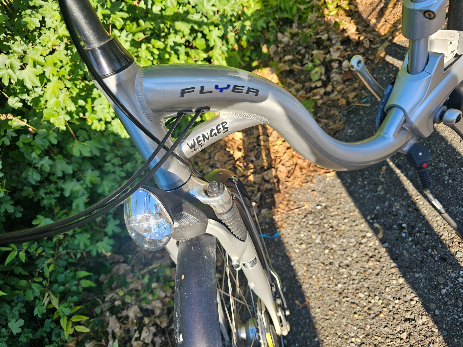 Flyer Biciclette: E Bieke Flayer – Difettoso da kleindöttingen venduto da Jimi-Hendrix 3