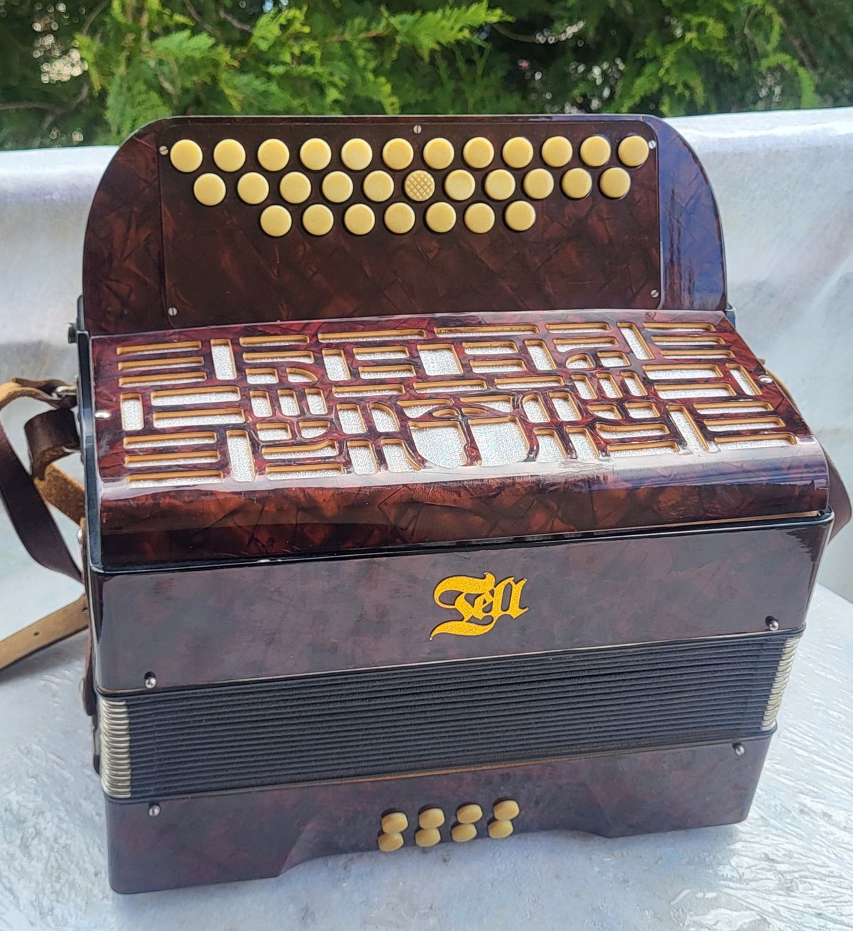 Strumenti musicali: Accordéon Tell Bachembulach Diatonique – Usato da Penthalaz venduto da EvandroLuz