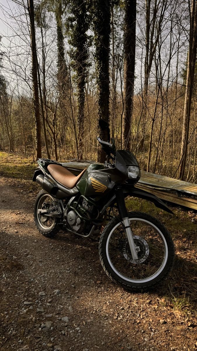 Honda Enduro: Honda NX 650 Dominator – Usato da Zürich venduto da arr_rj6q
